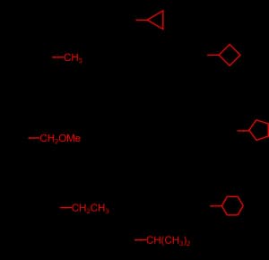 molander_kit-300x290