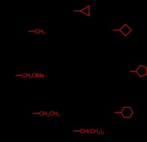 molander_kit-300x290