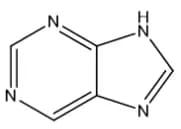 purine