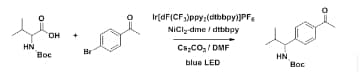 C-C_Coupling