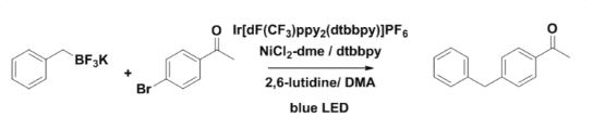 EvoluChem_450_nm_vs_Kessil_Royal_Blue_1