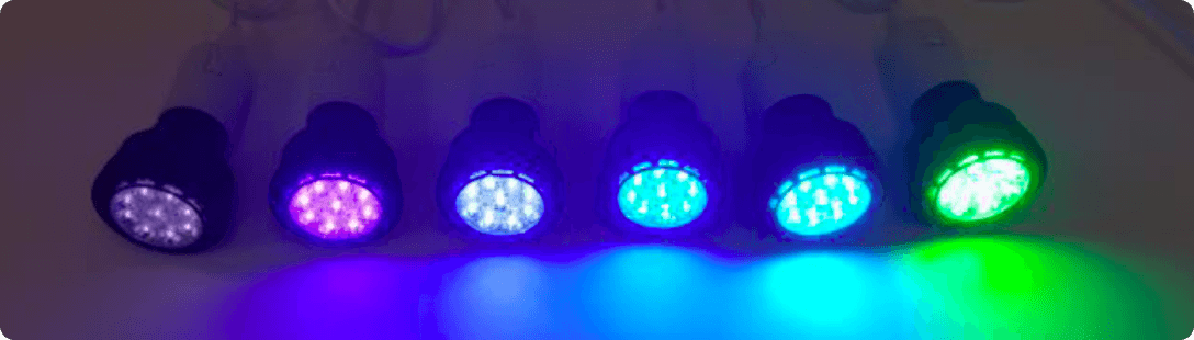 LEDs