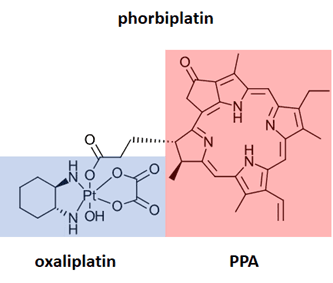 Red_Light_in_Cancer_Therapeutics