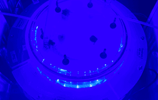 case-study-actinometry-promo