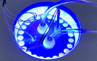 case-study-scale-up-promo