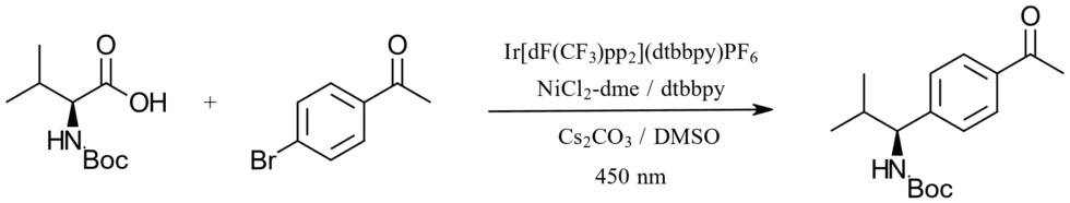 C-C-coupling-fig1-980x186